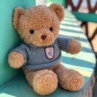 big teddy bears small teddy bears giant big teddy bears toys Gấu Bông Dễ Thương Sang Trọng Đồ Chơi Mặc Áo Len Gấu Búp Bê Trẻ Em Gối Ngủ Quà Tặng Sinh Nhật Búp Bê
