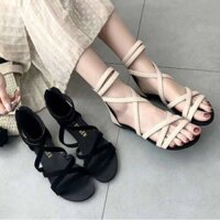 🔥BIGSIZE 39🔥✨hàng Quảng Châu✨ Giày Sandal Chiến Binh Cao Cổ Dây Kéo Xỏ Ngón 🔥FREESHIP🔥 giá rẻ đẹp size lớn
