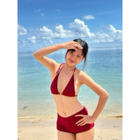 Bikini áo tắm hai mảnh áo bassi quần đùi lưng thấp ( sẵn hàng chất thun tăm lạnh)