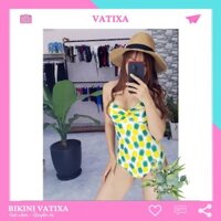 Bikini đồ bơi 1 mảnh liền thân dứa VATIXA BKN40  ྇