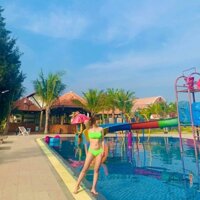 Bikini form áo ống dạ quang,Đồ Bơi Đi Biển Hai Mảnh