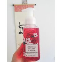 [Bill Mỹ] Nước rửa tay Bath And Body Works Hand Soap 259ml