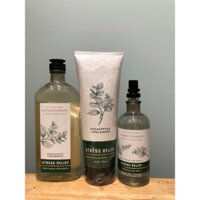 (BILL US) STRESS RELIEF - BỘ SẢN PHẨM SỮA TẮM XỊT THƠM DÒNG THƯ GIÃN Eucalyptus + Spearmint - BBW - Bath & Body works