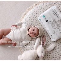 Bỉm dán Momo Rabbit - S50/M44/L40/XL36