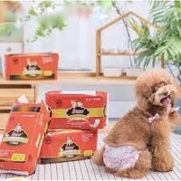 Bỉm Dono cho chó cái và mèo