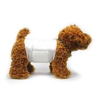 Bỉm đực size S lẻ (3kg-5kg)