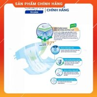 Bỉm người già Caryn dạng dán full size  M10/ML10/XL10 miếng, Bỉm người lớn chống trào 4 chiều dành cho người cao tuổi