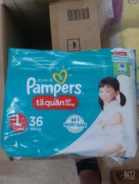 BỈM PAMPERS QUẦN L36