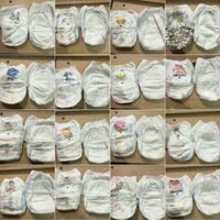 Bim xuất nhật túi trần