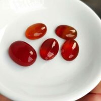BIMR - Bi mai rùa, bi oval, bi mã não xám, bi mã não đỏ