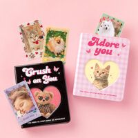 Binder Collect Book Đựng Photo Card Ảnh  ARTBOX Hàn Quốc Họa Tiết Gấu Teddy Khung Trái Tim 20 Sleeves Kpop Merch