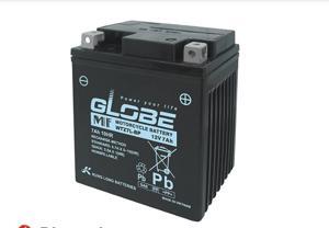 Bình ắc quy Globe WTZ7L-BP