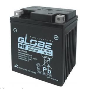 Bình ắc quy Globe WTZ7L-BP