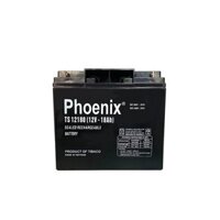 Bình Ắc Quy Khô PHOENIX TS12180 12V-18AH Dùng Cho UPS, Loa Kéo, Bình Phun Thuốc Sâu, Cửa Cuốn