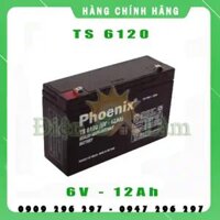 BÌNH ẮC QUY PHOENIX KÍN KHÍ CN 6V-12AH (TS6120)