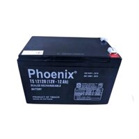 Bình Ắc Quy Phoenix TS12120 12V 12AH