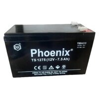 Bình Ắc Quy Phoenix TS1275 12V 7.5AH