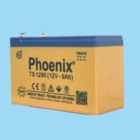 Bình Ắc Quy Phoenix TS1290 12V 9AH