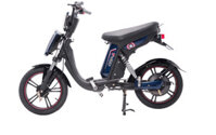 Bình ắc quy xe đạp điện Hkbike Cap A chính hãng
