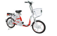 Bình ắc quy xe đạp điện Hkbike Zinger Color 2 chính hãng