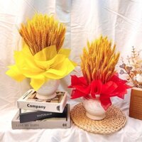 bình bông lúa mạch