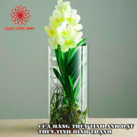 Bình bông thủy tinh trang trí D10x30, Bình cắm hoa thủy tinh trụ, lọ hoa hình trụ, trụ đổ đèn cầy, ống trụ tròn