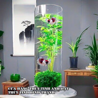 Bình bông thủy tinh trang trí D12x40, lọ hoa hình trụ, trụ đổ đèn cầy, ống trụ tròn