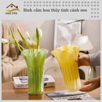Bình cắm hoa thủy tinh cánh sen với thủy tinh dày dăn mang lại sự chắc chắn và hiện đại