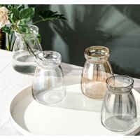 Bình Cắm Hoa Thuỷ Tinh - Lọ Hoa Thủy Tinh Trang Trí