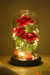 Bình chụp thủy tinh đế gỗ ( có đèn )