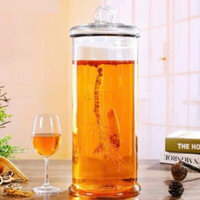 Bình Cỡ 19 Lít - Dáng trụ Hoa Văn Rồng và Trơn đẹp,dùng ngâm rượu, sâm, đinh lăng,đông trùng hạ thảo