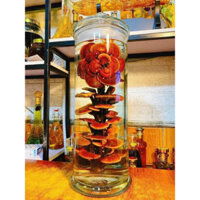 Bình Cỡ 19 Lít - Dáng trụ Hoa Văn Rồng và Trơn đẹp,dùng ngâm rượu, sâm, đinh lăng,đông trùng hạ thảo