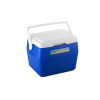 Bình đá vuông Happy Ware Picnic 2L/4L/6L/8L (giao màu ngẫu nhiên)