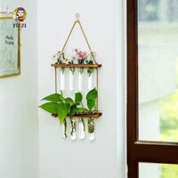 Bình đựng khung gỗ, Ống kiểm tra thủy canh treo tường bằng gỗ thủy canh, Phong cách Ins Bắc Âu dày trong suốt Bình đựng cây trồng cổ điển trong suốt