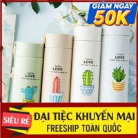 Bình đựng nước lõi thủy tinh họâ tiết xương rồng dễ thương dung tích 400ml - Bình giữ nhiệt họâ tiết xương rồng (BXR10)