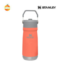 Bình giữ nhiệt Stanley Flip Straw Water Bottle 500ml 17oz - Guava