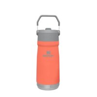 Bình giữ nhiệt Stanley Flip Straw Water Bottle