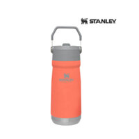 Bình giữ nhiệt Stanley Flip Straw Water Bottle 500ml (17oz)