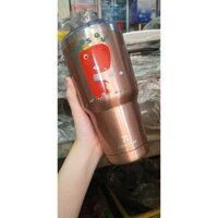 Bình giữ nhiệt ZONORW innox 304 ( tặng ống hút túi đựng+ dụng cụ vệ sinh)