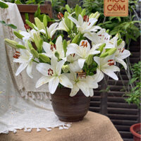 Bình gốm, lọ cắm hoa đài sen, búp sen cắm hoa, bình cắm hoa có lỗ cố định cành hoa H16.5cm