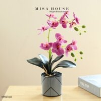 Bình hoa cắm sẵn hoa lan hồ điệp 2 nhánh trắng chậu nhựa hoa giống thật