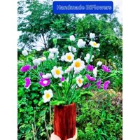 Bình hoa Cúc Họa Mi