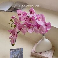 Bình Hoa Gốm Nghê Thuật Hoa Lan Hồ Điệp Cành 9 Bông Sang Trong Decor Trang Trí Nhà Cửa