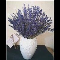 Bình hoa khô Lavender Pháp #BH002