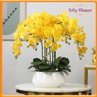 Bình Hoa Lan Hồ Điệp Cao Su Cao Cấp Cao 60cm Hoa Để Bàn Phòng Khách Sang Trọng LL-36