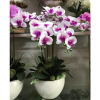 BÌNH HOA LAN HỒ ĐIỆP GIẢ MÃ HDG - 025 6 CÂY