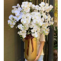 BÌNH HOA LAN HỒ ĐIỆP GIẢ MÃ HDG - 007 12 CÂY TRẮNG