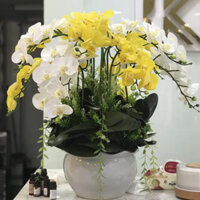 BÌNH HOA LAN HỒ ĐIỆP GIẢ MÃ HDG - 013 10 CÂY