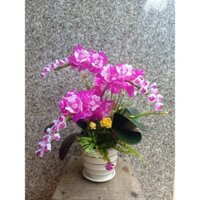 Bình hoa lan pha lê đủ màu