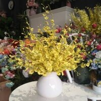 Bình hoa lan vũ nữ đẹp